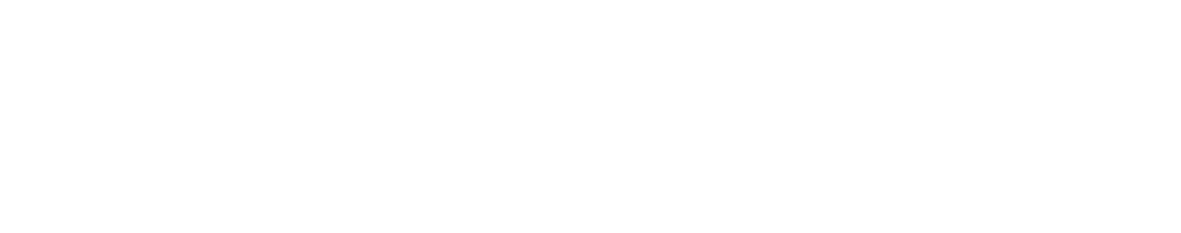 eidetic